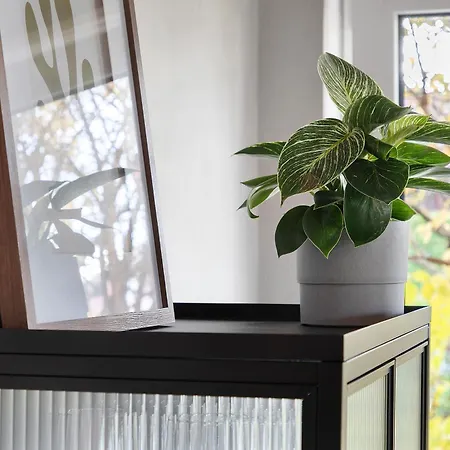 Apartment Wanderer Am Breitenstein