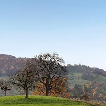 Wanderer Am Breitenstein 公寓 *